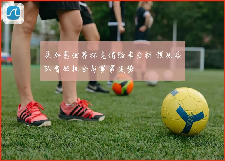 美加墨世界杯竞猜赔率分析 预测各队晋级机会与赛事走势