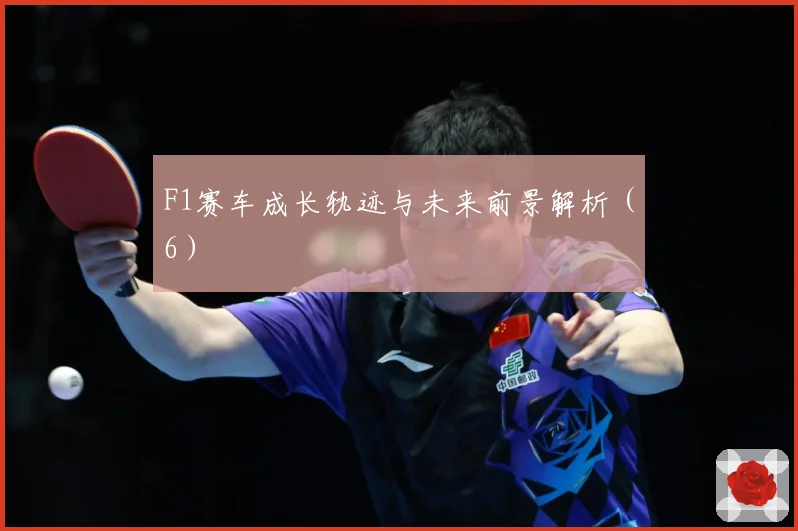 F1赛车成长轨迹与未来前景解析（6）