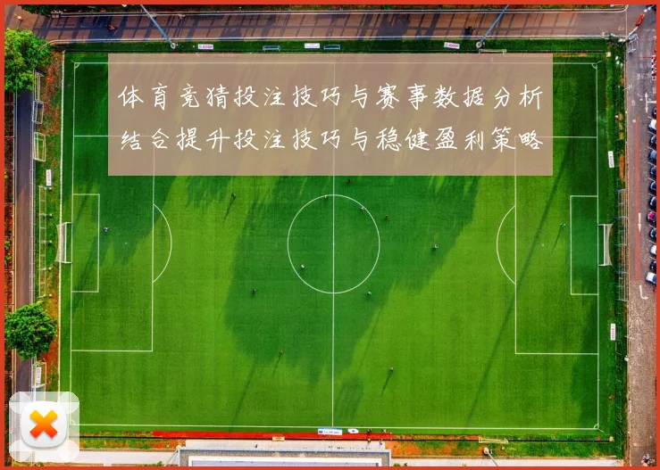 体育竞猜投注技巧与赛事数据分析结合提升投注技巧与稳健盈利策略探索