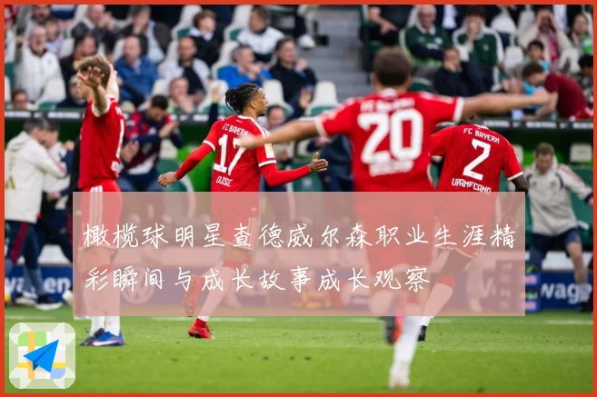 橄榄球明星查德威尔森职业生涯精彩瞬间与成长故事成长观察