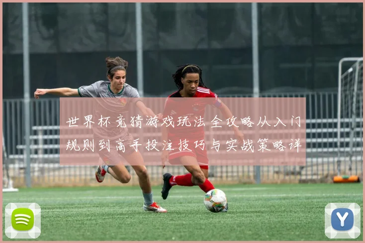 世界杯竞猜游戏玩法全攻略从入门规则到高手投注技巧与实战策略详解