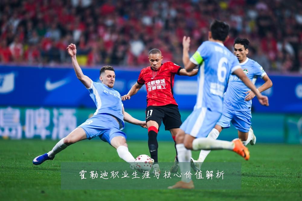 霍勒迪职业生涯与核心价值解析