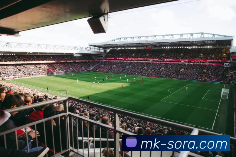 MK体育平台展示图